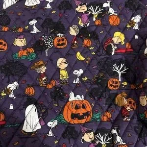 Vera Bradley | Bags | 225 Release Nwt Vera Bradley X Peanuts  display picture 2